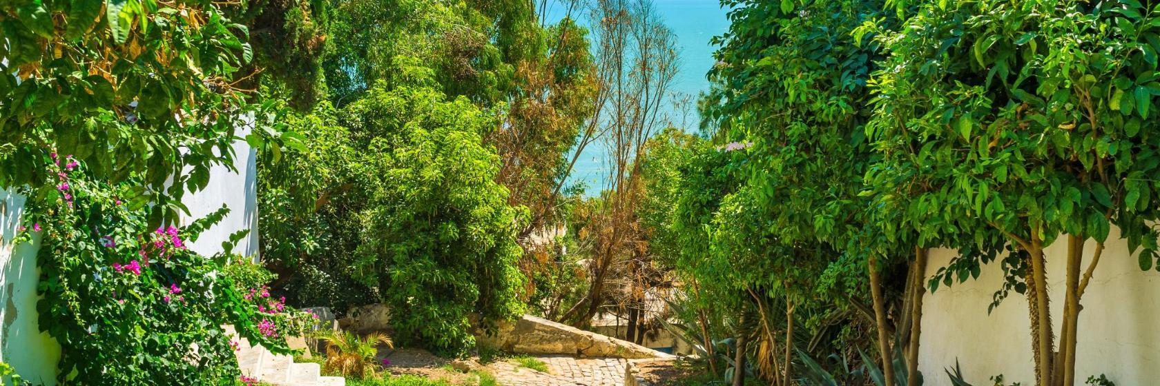 Parc de Sidi Bou Said
